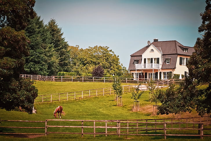 Agriculture, Animal, Architecture, Beautiful Preview
