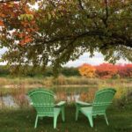 Traverse City Bed and Breakfast Adirondack chairs by pond and trees