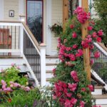 Country Hermitage Bed and Breakfast deck with staircase and trailing roses